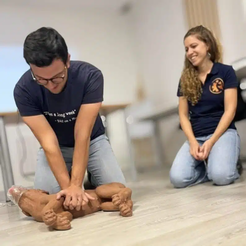 Primeros Auxilios a Perros y Gatos