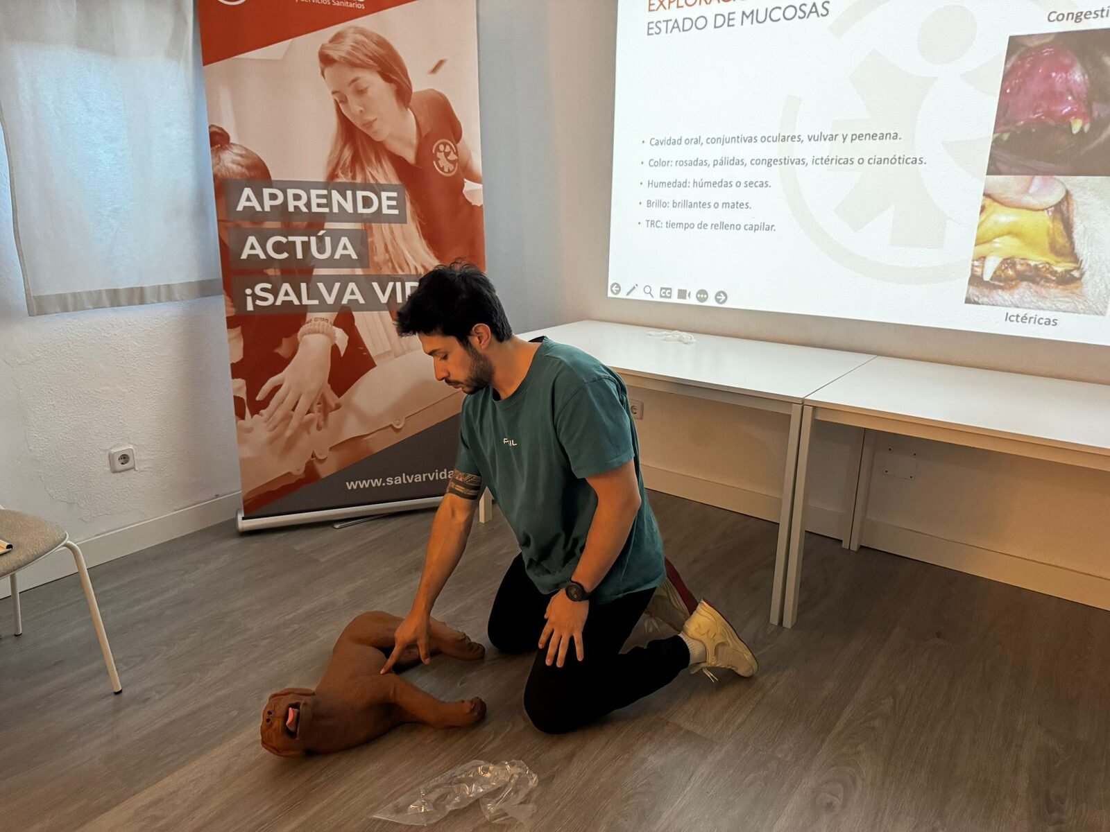 Exploración del estado de mucosas en un perro
