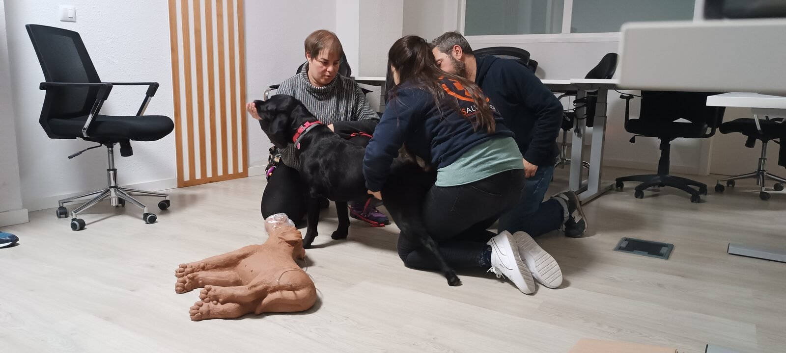 Grupo practicando primeros auxilios con un perro
