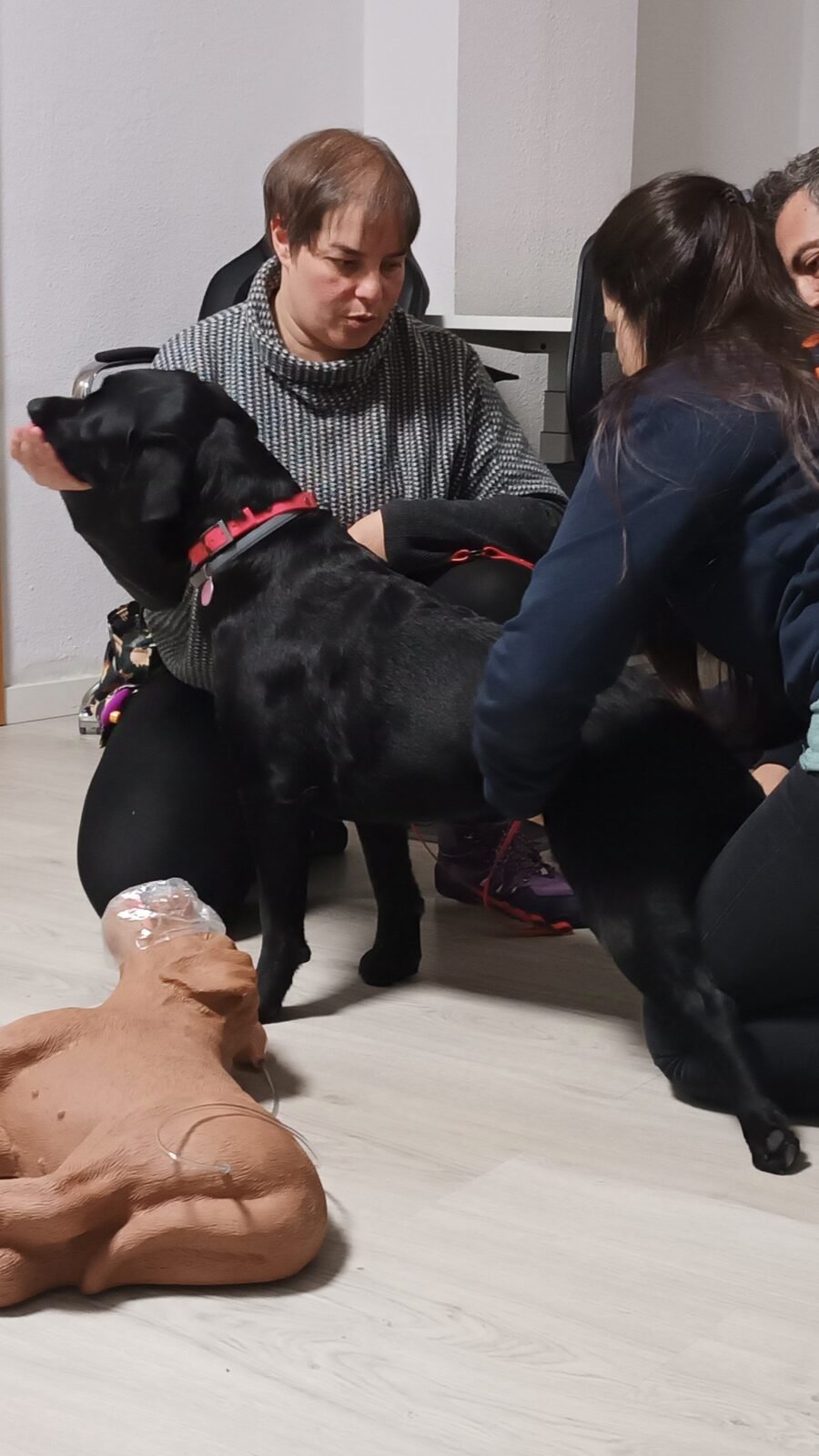 Alumnos en el curso de primeros auxilios para perros y gatos