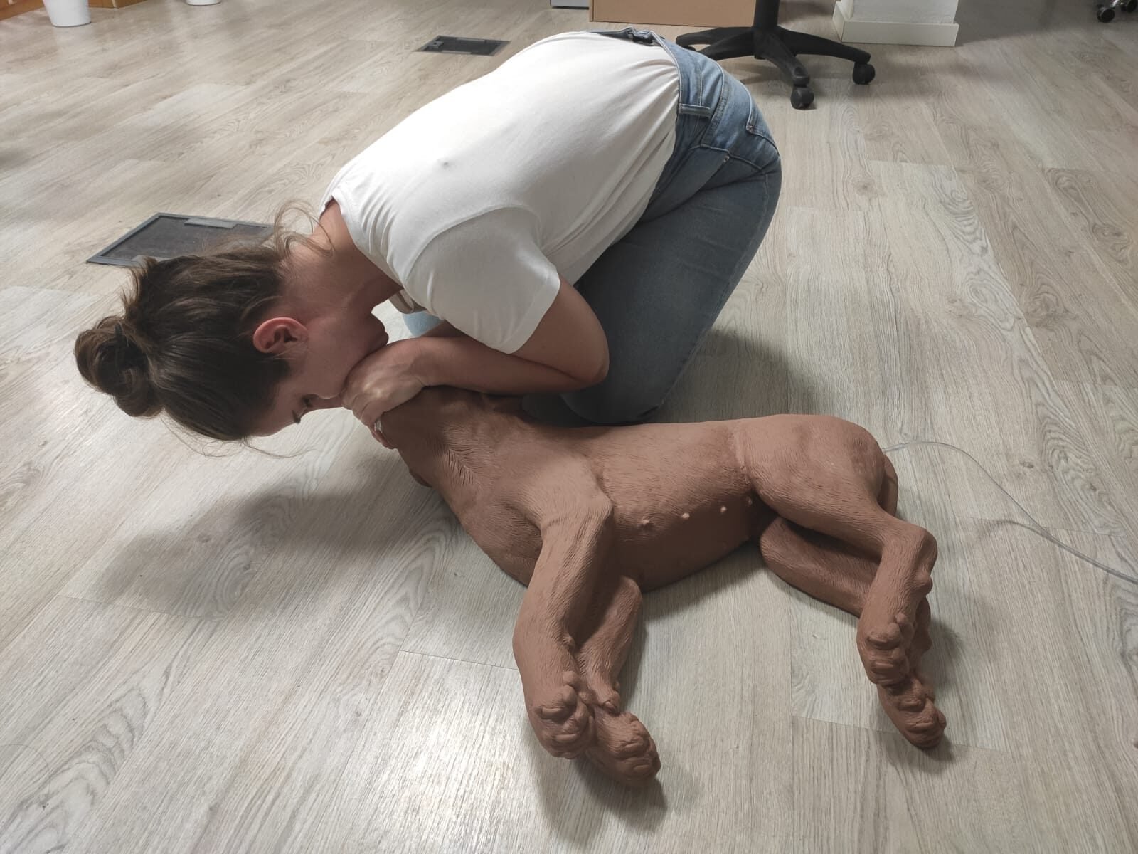 Ventilación boca-hocico en un maniquí de perro