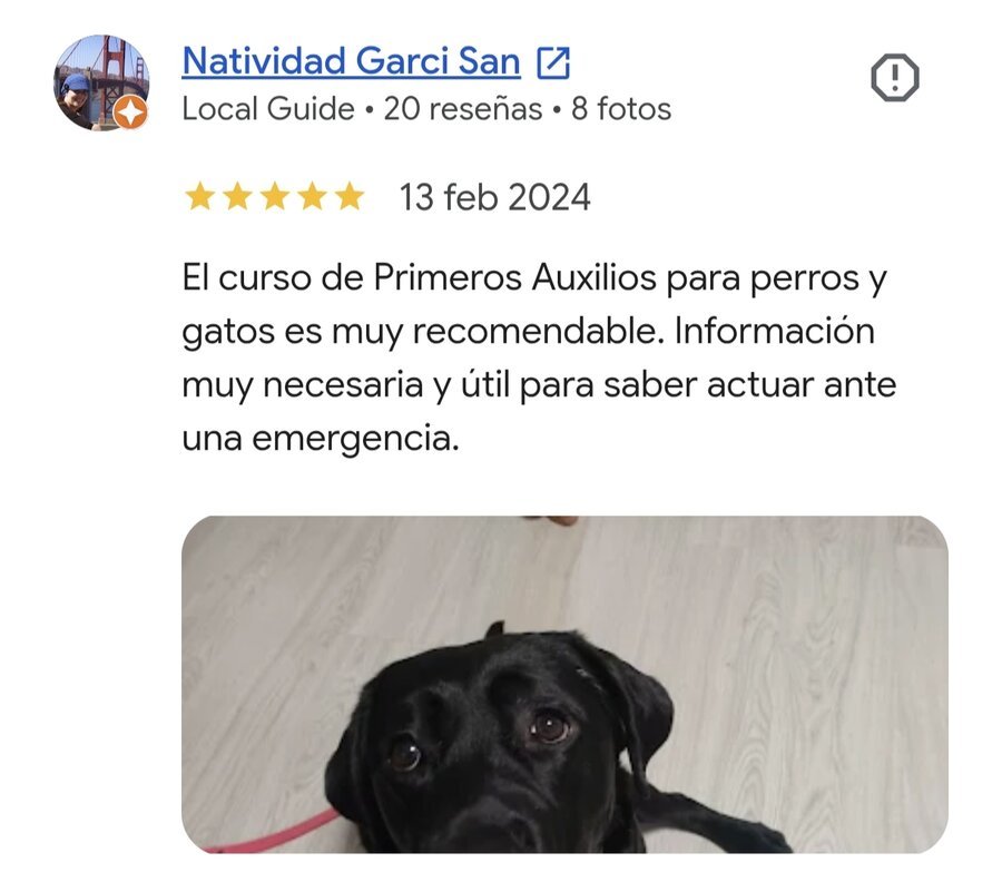 Reseña 5 estrellas de una alumna con su perro